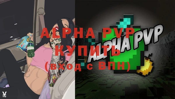 сатива Магас