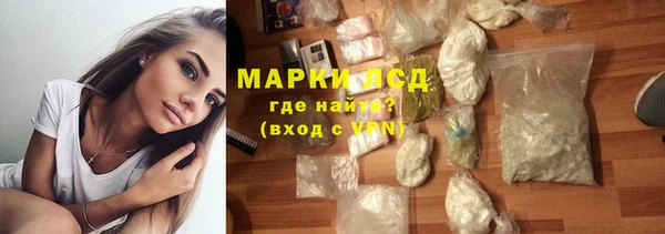 сатива Магас
