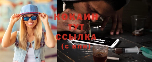 сатива Магас