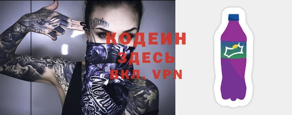сатива Магас