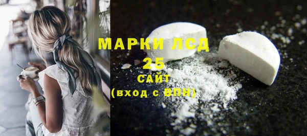 сатива Магас