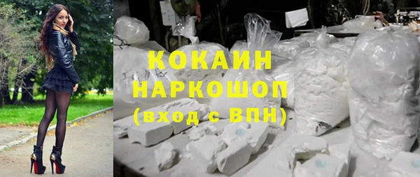 сатива Магас