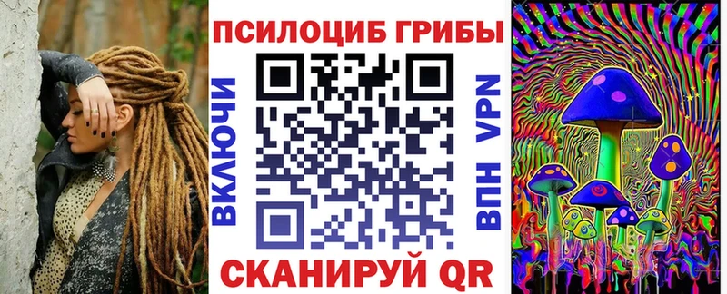 Псилоцибиновые грибы Psilocybe  Купить  Аткарск 